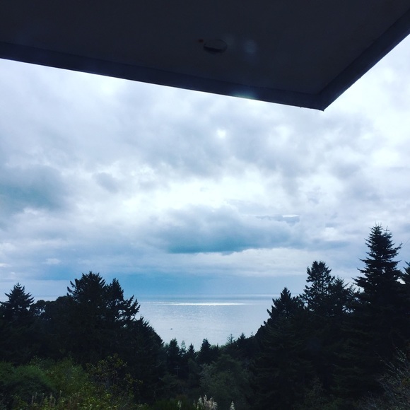 Meet your Posher, Asphodel - Picture 6 of 6